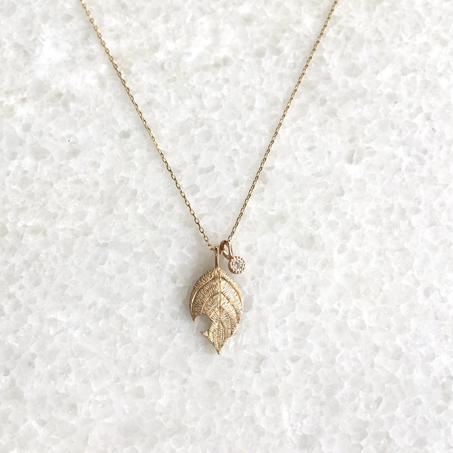 Collana “tarlatura”　＜虫食い葉っぱのネックレス＞